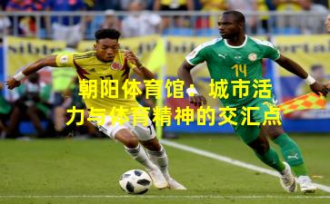 朝阳体育馆:城市活力与体育精神的交汇点