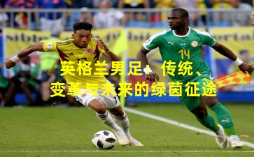 英格兰男足：传统、变革与未来的绿茵征途
