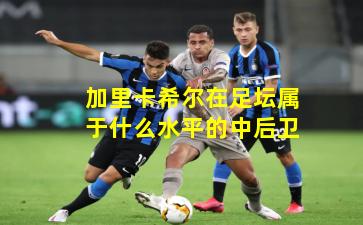 加里卡希尔在足坛属于什么水平的中后卫