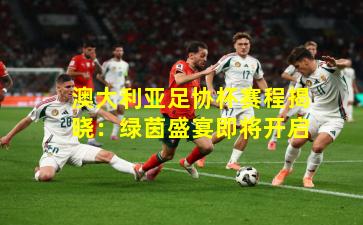 澳大利亚足协杯赛程揭晓:绿茵盛宴即将开启